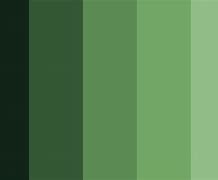 Image result for Nexus 4 Color