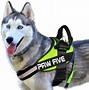 Image result for No Jump Dog Harness