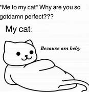Image result for Super Duper Funny Cat Memes