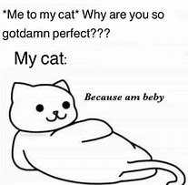 Image result for Cat Memes Friendship