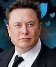 Image result for Elon Musk Ethnicity