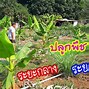 Image result for แนะนำ สวน