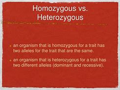 Image result for What Is Homozygous