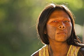 Image result for Indigenas Denmanaus Brazil