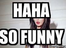 Image result for Haha Your so Funny Meme