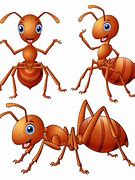 Image result for Ant Family Cartoon