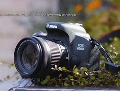 Image result for Ảnh Chụp Từ Canon 800D