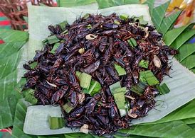 Image result for Soy Sauce Fried Crickets