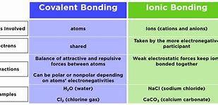 Image result for What Is the Diferins