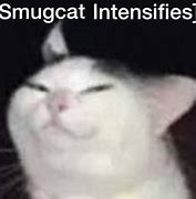 Image result for Smug Cat Meme