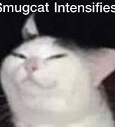 Image result for Smug Cat Meme