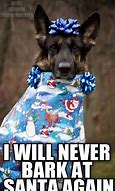 Image result for Funny Animal Christmas Memes