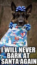 Image result for Christmas Animal Memes Clean