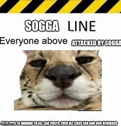 Image result for Sogga Meme
