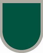 Image result for 1st Special Forces Command Flash