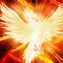 Image result for El Ave Fenix Bird