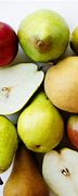 Image result for Different Kinds of Pears