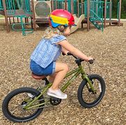 Image result for 16 Inch Mountain Bike