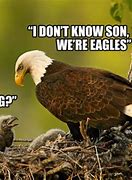 Image result for 2019 Eagles Injuries Memes
