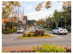 Image result for Where Is Covington WA