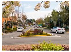 Image result for City of Covington Washington