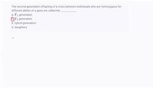 Image result for Picture of Homozygous