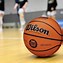 Image result for Authentic NBA Basketball