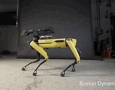 Image result for Walking Robot
