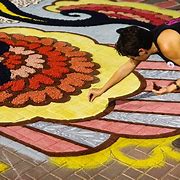 Image result for alfombfista