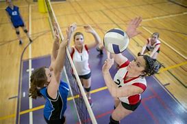 Image result for Basketball Volleyball