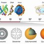 Image result for Nanometer Compared to Human Hair