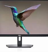 Image result for Monitor with No Camera