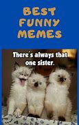 Image result for :3 Cat Meme