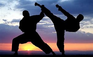 Image result for List of Martial Arts Styles