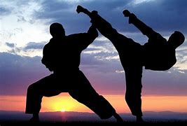 Image result for Types of Martial Arts Styles