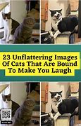 Image result for Unflattering Imagery