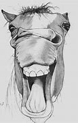 Image result for Horse with Straight Back