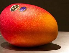 Image result for The World's Most Expensive Fruits