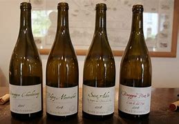 Image result for Alex Gambal Clos Vougeot