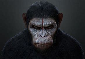 Image result for Casear Apes Poster