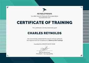 Image result for Portrait Training Certificate Template