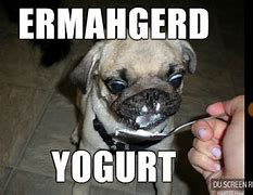 Image result for Yogurt Meme