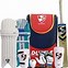 Image result for Cricket Kit