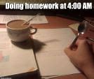 Image result for School Homework Memes