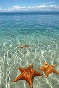 Image result for Playa Wallpaper