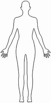 Image result for Female Person Outline