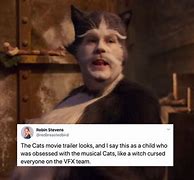 Image result for Cats Movie Memes