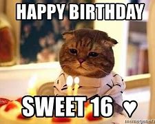 Image result for Happy Birthday Sweet 16 Meme