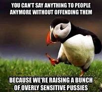 Image result for If You Are Easily Offended Meme