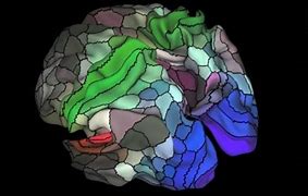 Image result for Glasser Institute How the Brain Works
